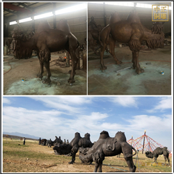 室外大型骆驼铜雕塑铸造